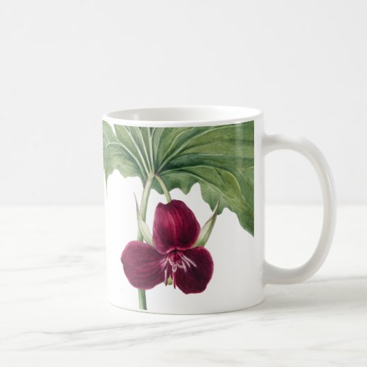 Trillium Botanical Kaffeetasse (Rechts)