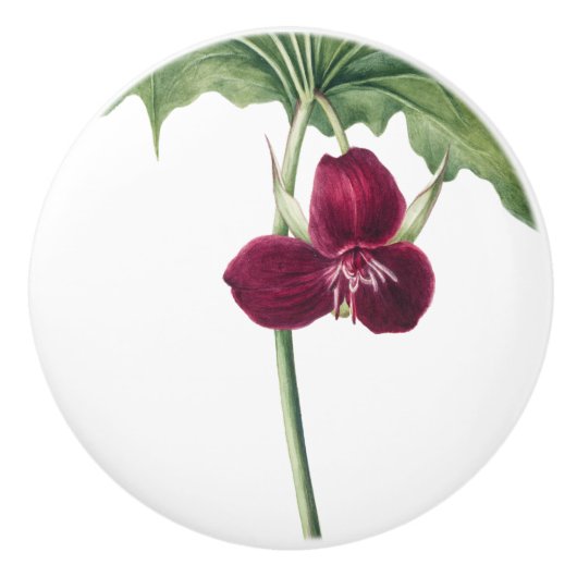 Trillium Botanisch Keramikknauf (Vorderseite)