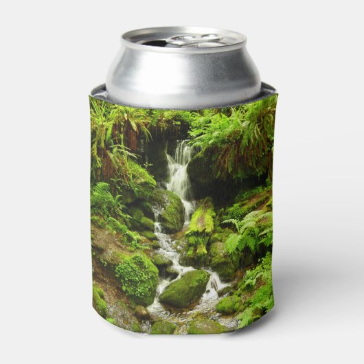 Trillium Falls at Redwood National Park Dosenkühler (Kanne Vorderseite)