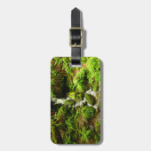 Trillium Falls at Redwood National Park Gepäckanhänger (Vorderseite vertikal)