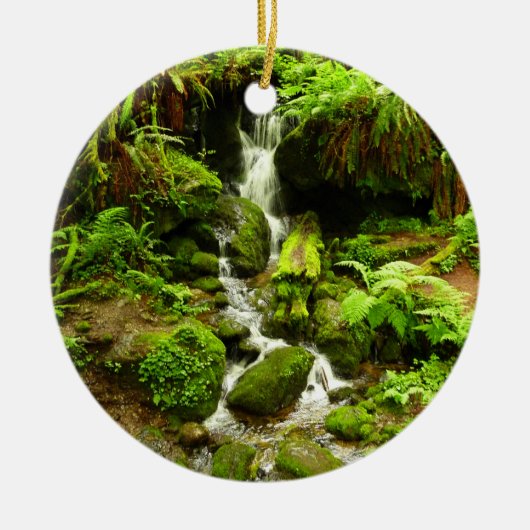 Trillium Falls at Redwood National Park Keramikornament (Vorne)