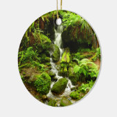 Trillium Falls at Redwood National Park Keramikornament (Links)