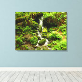 Trillium Falls at Redwood National Park Leinwanddruck (Insitu (Holzboden))