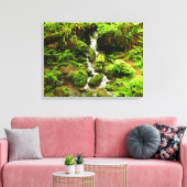 Trillium Falls at Redwood National Park Leinwanddruck (Insitu (Wohnzimmer))