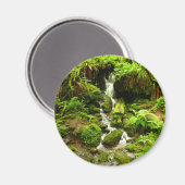 Trillium Falls at Redwood National Park Magnet (Vorderseite/Rückseite)