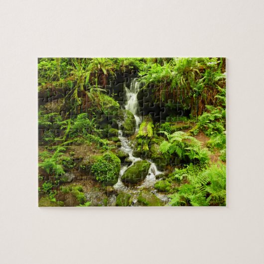 Trillium Falls at Redwood National Park Puzzle (Horizontal)