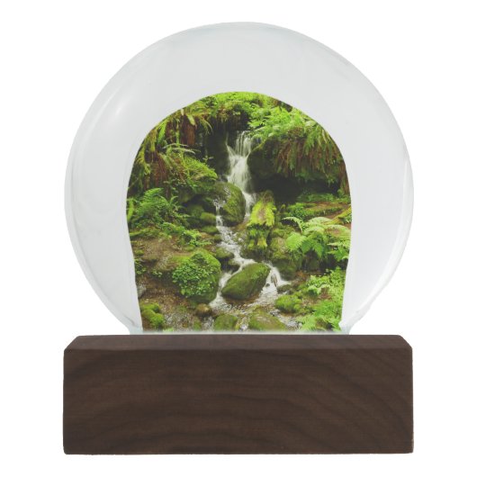 Trillium Falls at Redwood National Park Schneekugel (Vorderseite)