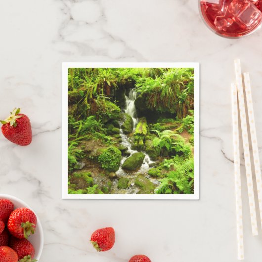 Trillium Falls at Redwood National Park Serviette (Beispiel)
