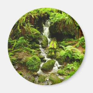 Trillium Falls im Redwood-Nationalpark Magnet