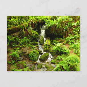 Trillium Falls im Redwood-Nationalpark Postkarte