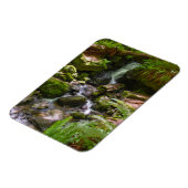 Trillium Falls Redwood Nationalpark California Magnet (Linke Seite)