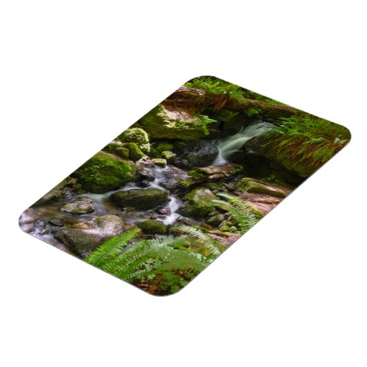 Trillium Falls Redwood Nationalpark California Magnet (Linke Seite)
