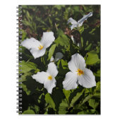 Trillium grandiflorum, Michigan's Obere Halbinsel Notizblock (Vorderseite)