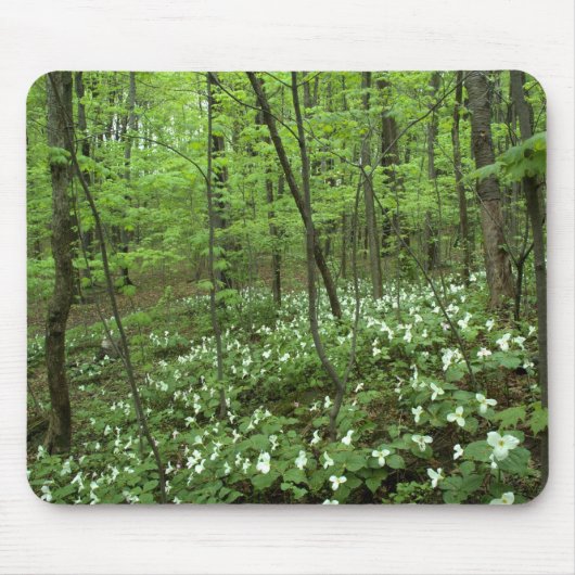 Trillium-Himmel Mousepad (Vorne)