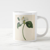 Trillium Jumbo-Tasse (Rechts)