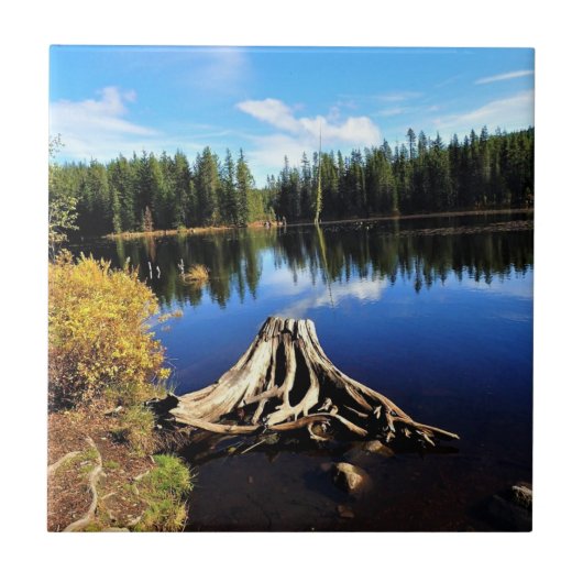 Trillium Lake, OR Fliese (Vorderseite)
