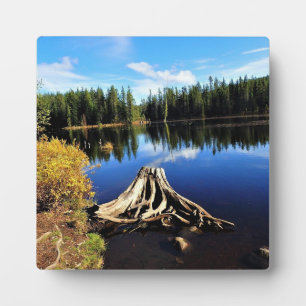 Trillium Lake, OR Fotoplatte
