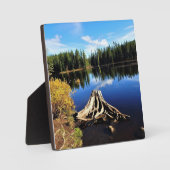 Trillium Lake, OR Fotoplatte (Vorderseite)