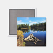 Trillium Lake, OR Magnet (Vorderseite/Rückseite)