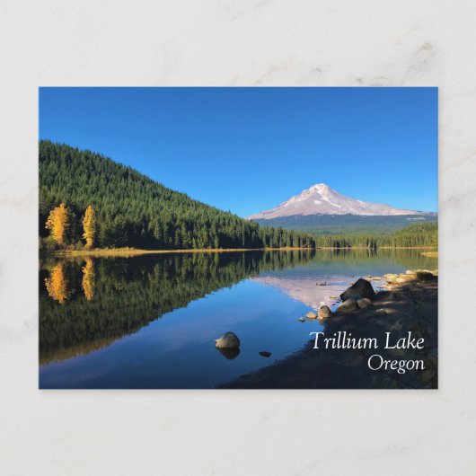 Trillium Lake, Oregon Postkarte (Vorderseite)