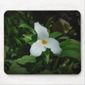 Trillium Mousepad (Vorne)
