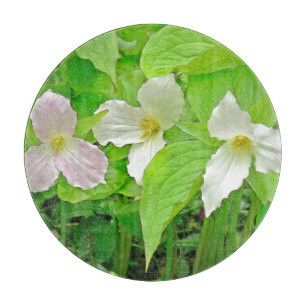 "Trillium"-Trennwand Schneidebrett