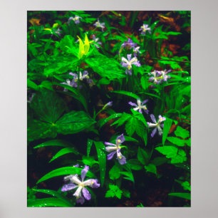 Trillium- und Iris-Wildblumen Poster