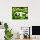 Trillium Wild Blume Poster (Heimbüro)