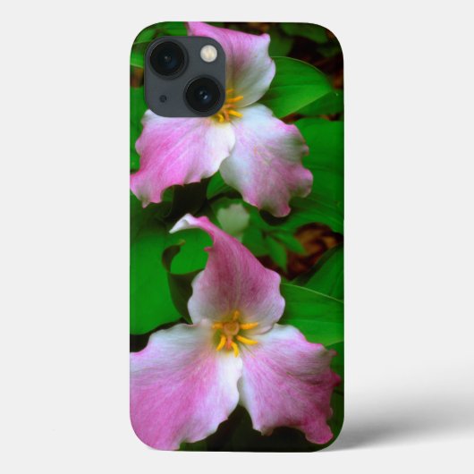 Trillium-Wildblume Case-Mate iPhone Hülle (Rückseite)