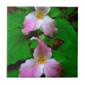 Trillium-Wildblume Fliese (Vorderseite)