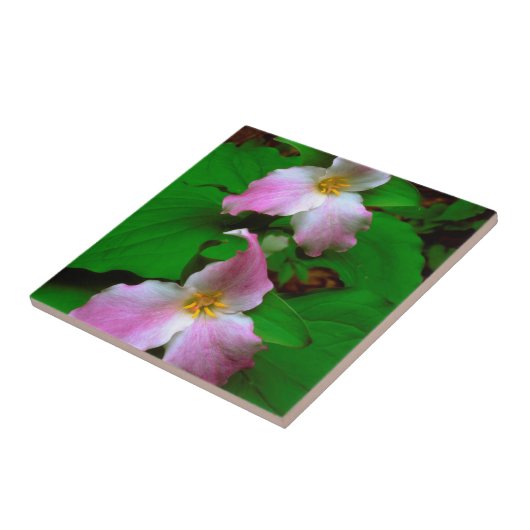 Trillium-Wildblume Fliese (Seite)