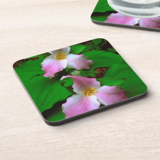 Trillium-Wildblume Getränkeuntersetzer (Linke Seite)