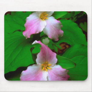 Trillium-Wildblume Mousepad