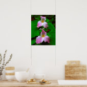Trillium-Wildblume Poster (Küche)