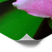 Trillium-Wildblume Poster (Ecke)