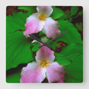 Trillium-Wildblume Quadratische Wanduhr