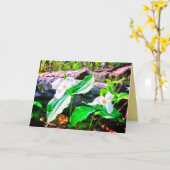 TRILLIUMS BRIGHT GREETCARD KARTE (Gelbe Blume)