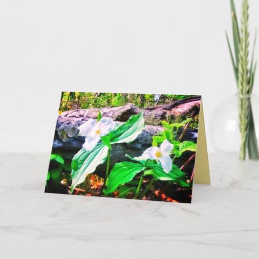 TRILLIUMS BRIGHT GREETCARD KARTE (Vorderseite)