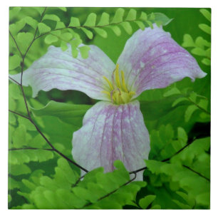 TRILLLIUM UND FENSTERN KERAMIK TITEL/TRIVET FLIESE