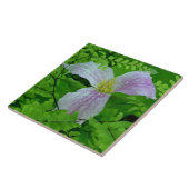 TRILLLIUM UND FENSTERN KERAMIK TITEL/TRIVET FLIESE (Seite)