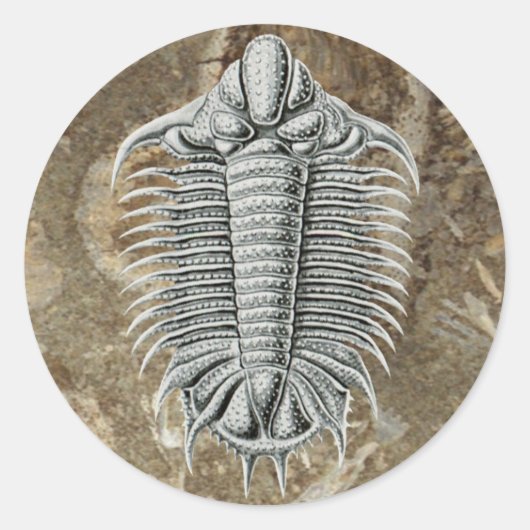 Trilobit-Aufkleber Runder Aufkleber (Vorderseite)