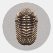 Trilobit-Aufkleber Runder Aufkleber (Vorderseite)