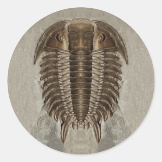 Trilobit Fossil Sticker (Vorderseite)