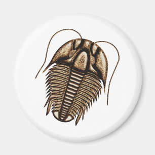 Trilobit Kühlschrankmagnet