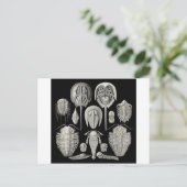 Trilobit! Postkarte (Stehend Vorderseite)