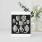 Trilobit! Postkarte (Stehend Vorderseite)