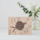 Trilobit Postkarte (Stehend Vorderseite)