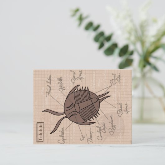Trilobit Postkarte (Stehend Vorderseite)