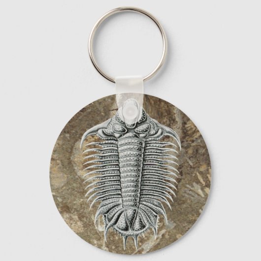 Trilobit Schlüsselanhänger (Vorderseite)