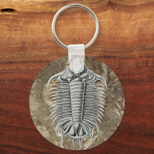 Trilobit Schlüsselanhänger (Vorderseite)
